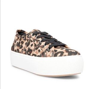 STEVE MADDEN platform cheetah sneakers